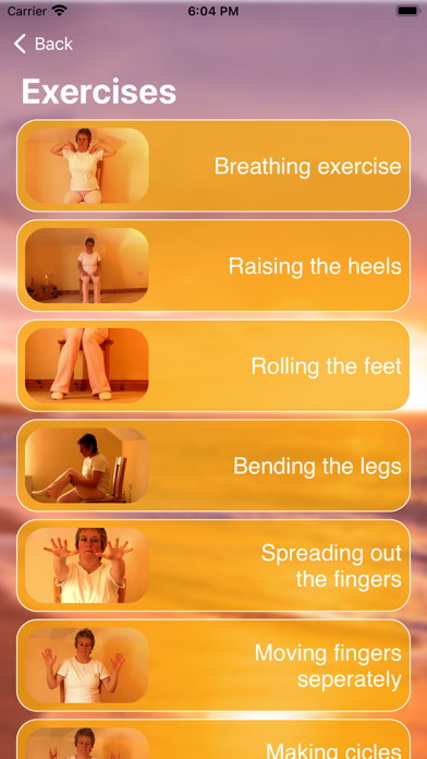 Chair Yoga Edeltraud Rohnfeld Screenshot