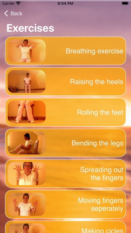 Chair Yoga Edeltraud Rohnfeld