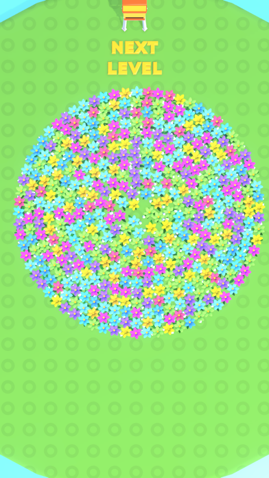 Flower Frenzy 3D Screenshot