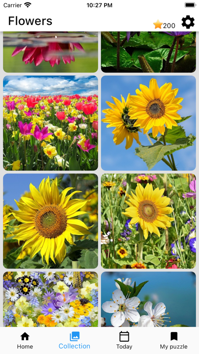 Jigsaw Puzzles Collections Screenshot