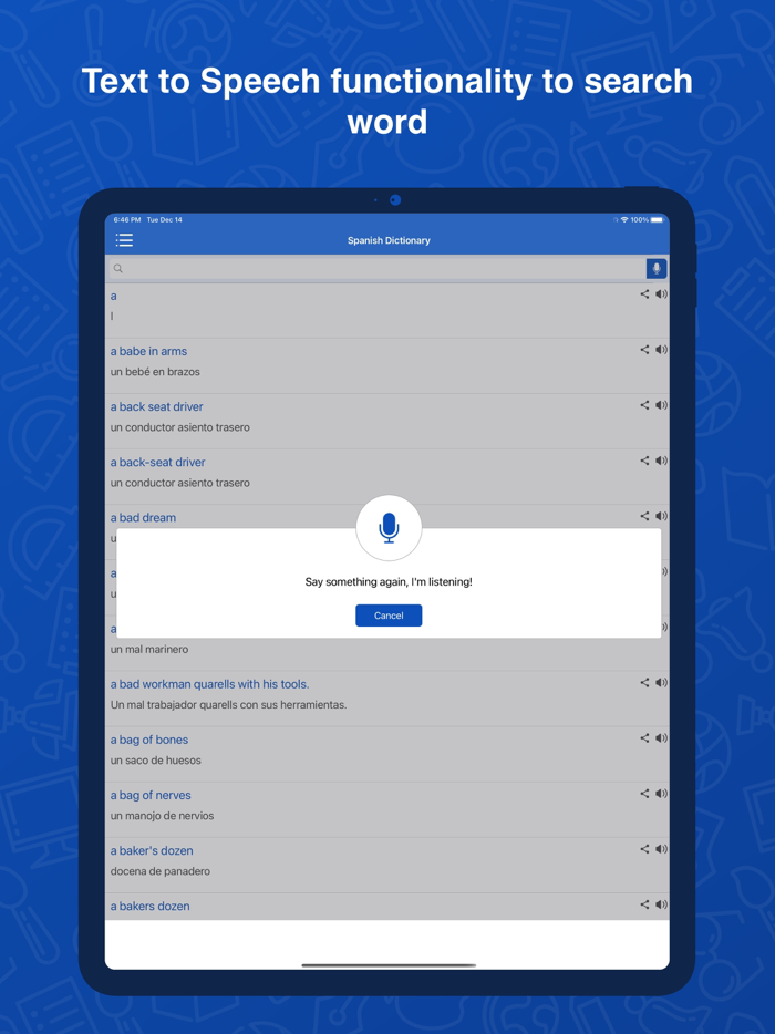 Spanish Dictionary Translator