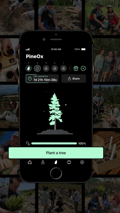 PineOx Screenshot