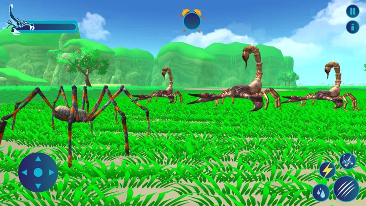 Deadly Venom Scorpion Insect