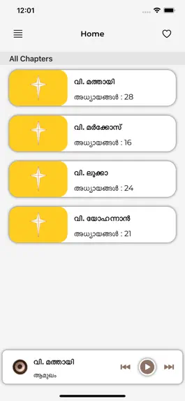 Game screenshot POC Bible Gospels apk