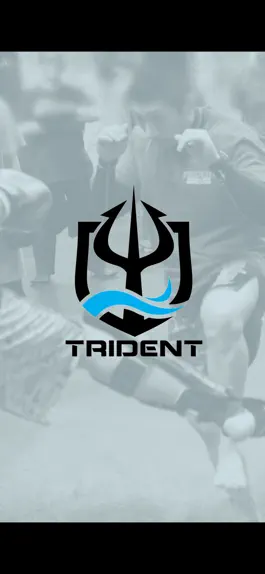 Game screenshot Trident Martial Arts mod apk
