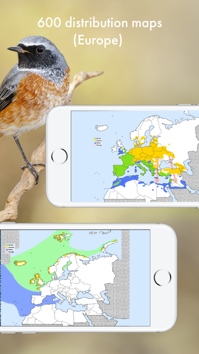 BIRD SONGS Europe North Africa Screenshot