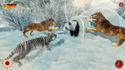 野生 雪 トラ サファリ 動物のおすすめ画像3