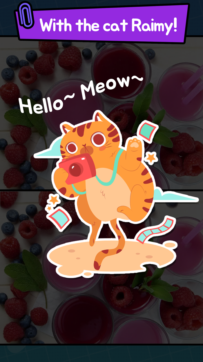 Spot the Difference CHALLENGE