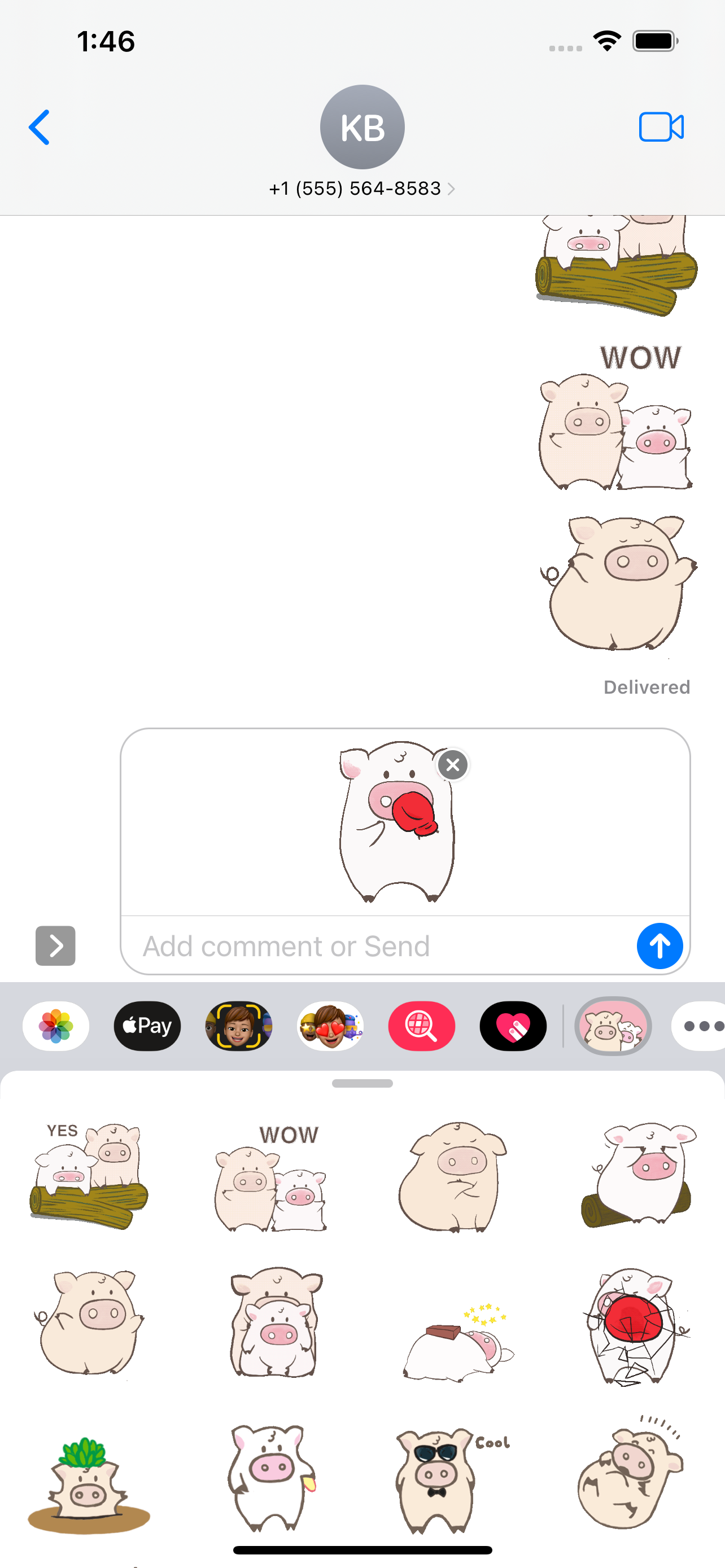 Toto Pig - Piglets Stickers