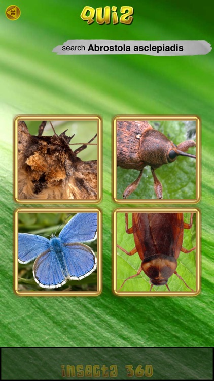 Insects and Spiders screenshot-4