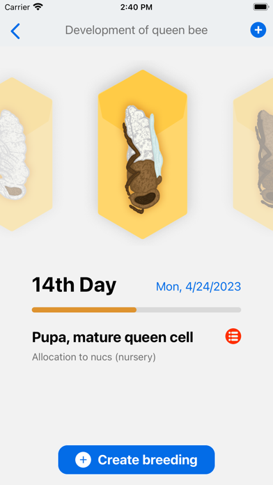 Queen calendar Screenshot