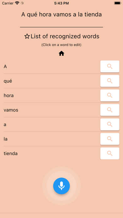 AI Spanish Dictionary Screenshot