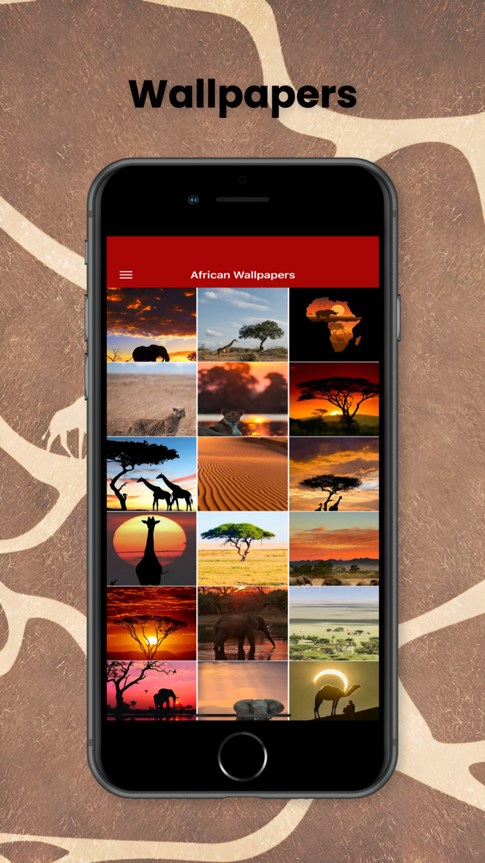 African Proverbs by Topic