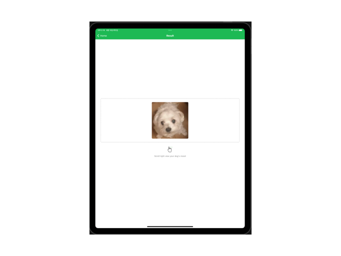 Pet Mood Detector AI Analysis