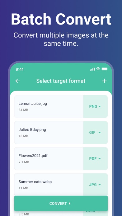 Image Converter - PixConverter Screenshot