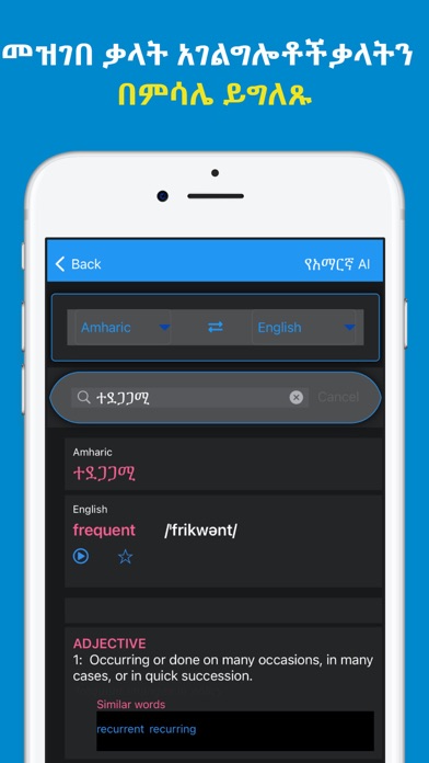 Amharic AI: Amharic AI Chat Screenshot