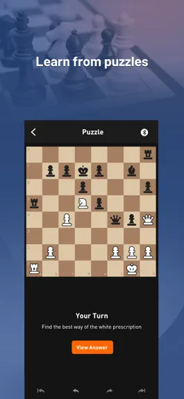 Game screenshot Chessnut - Play Chess hack
