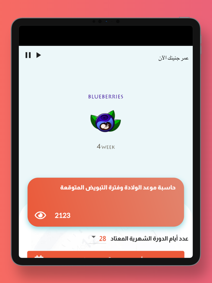 حاسبة الحمل و موعد الاباضة