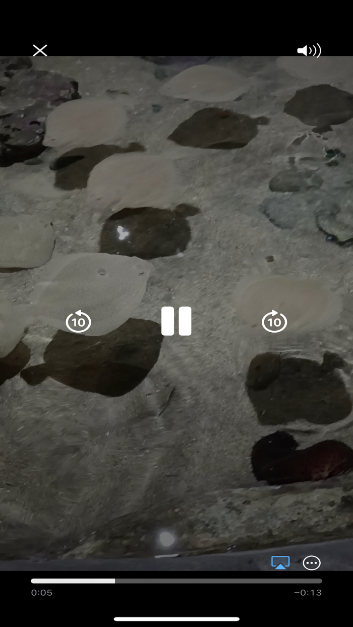 Guía Virtual BIOPARC