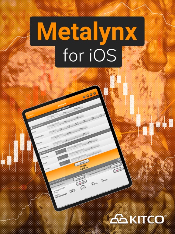 Screenshot #4 pour Metalynx
