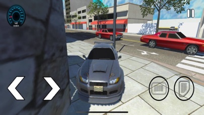 Driver Traffic Pro Screenshot