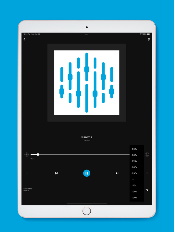 NA0826 iPad screenshot 3 - Music app