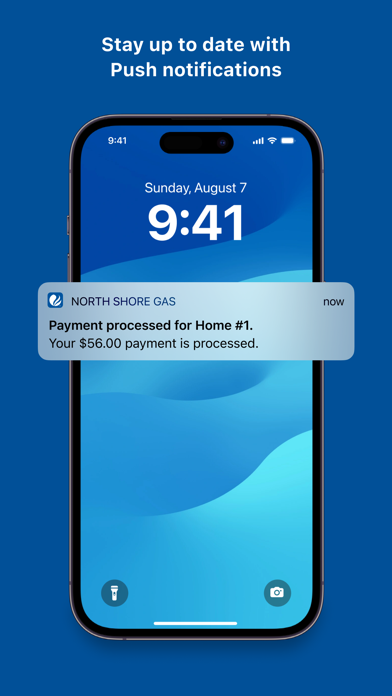 North Shore Gas Screenshot