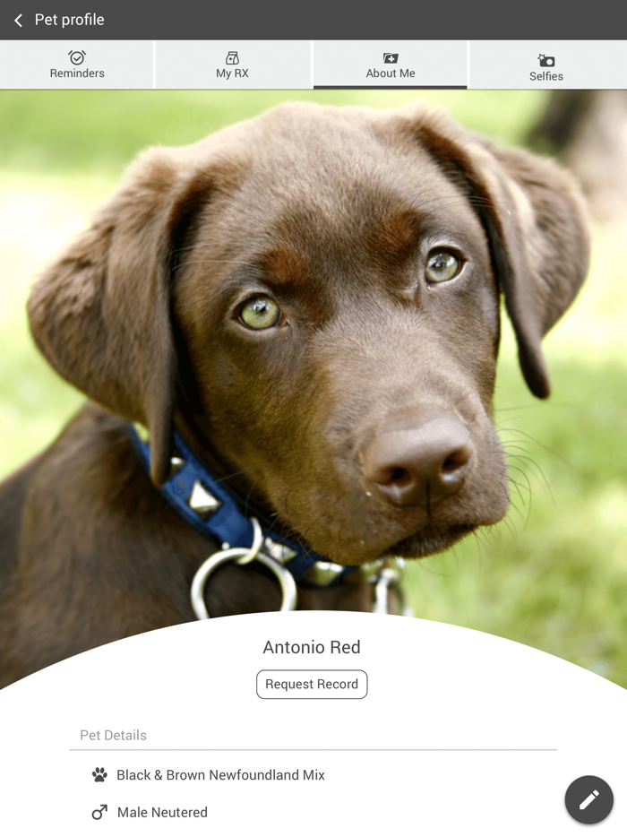 Mullins Veterinary Hospital