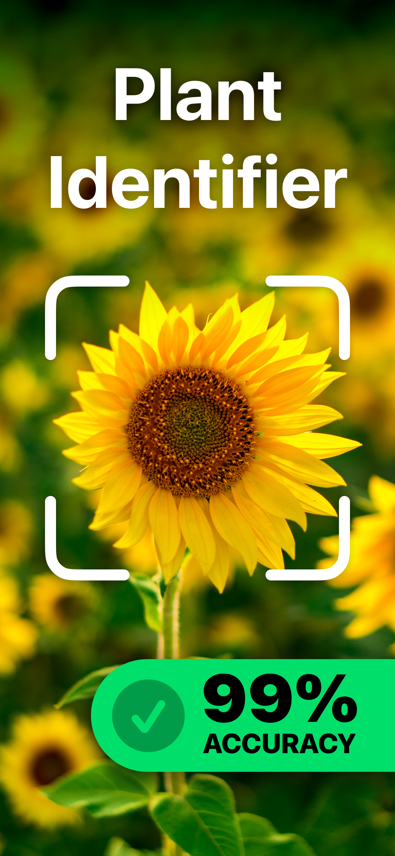 PlantAI - Plant Identifier