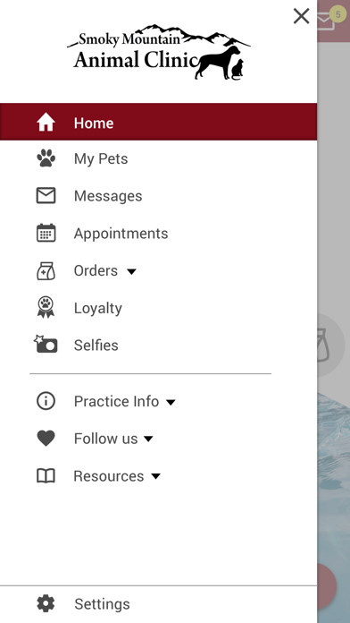SMOKY MTN VET Screenshot