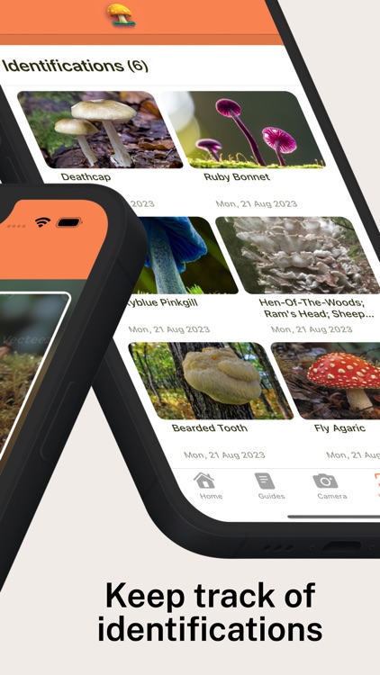 Mushroom Identifier Pro