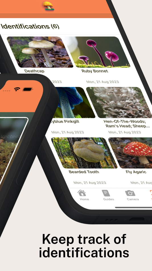 #2. Mushroom Identifier Pro (iOS) 来自: Murphy Brantley