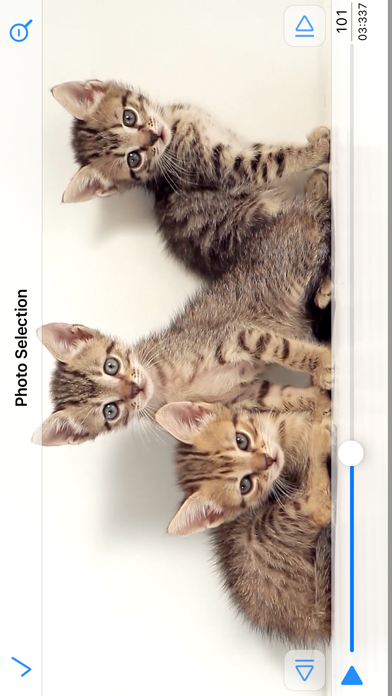 PureClip Photo Screenshot