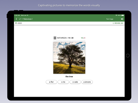 Learn Portuguese - Bilinguae iPad screenshot 4 - Education app
