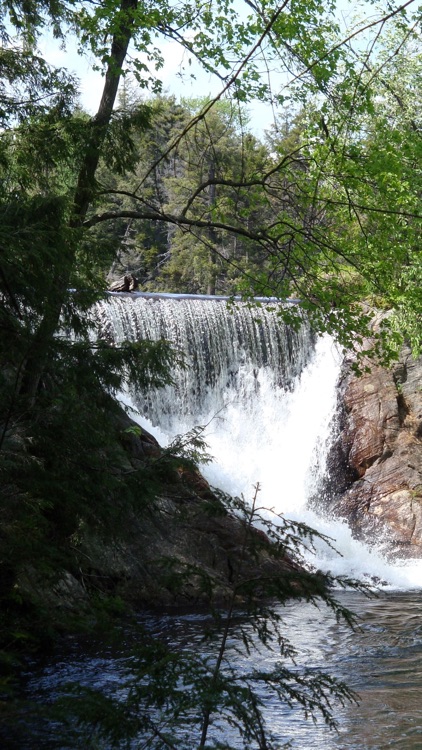 The Adirondack League Club screenshot-5