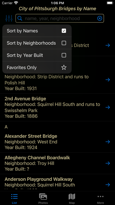 Pittsburgh City Bridges Screenshot