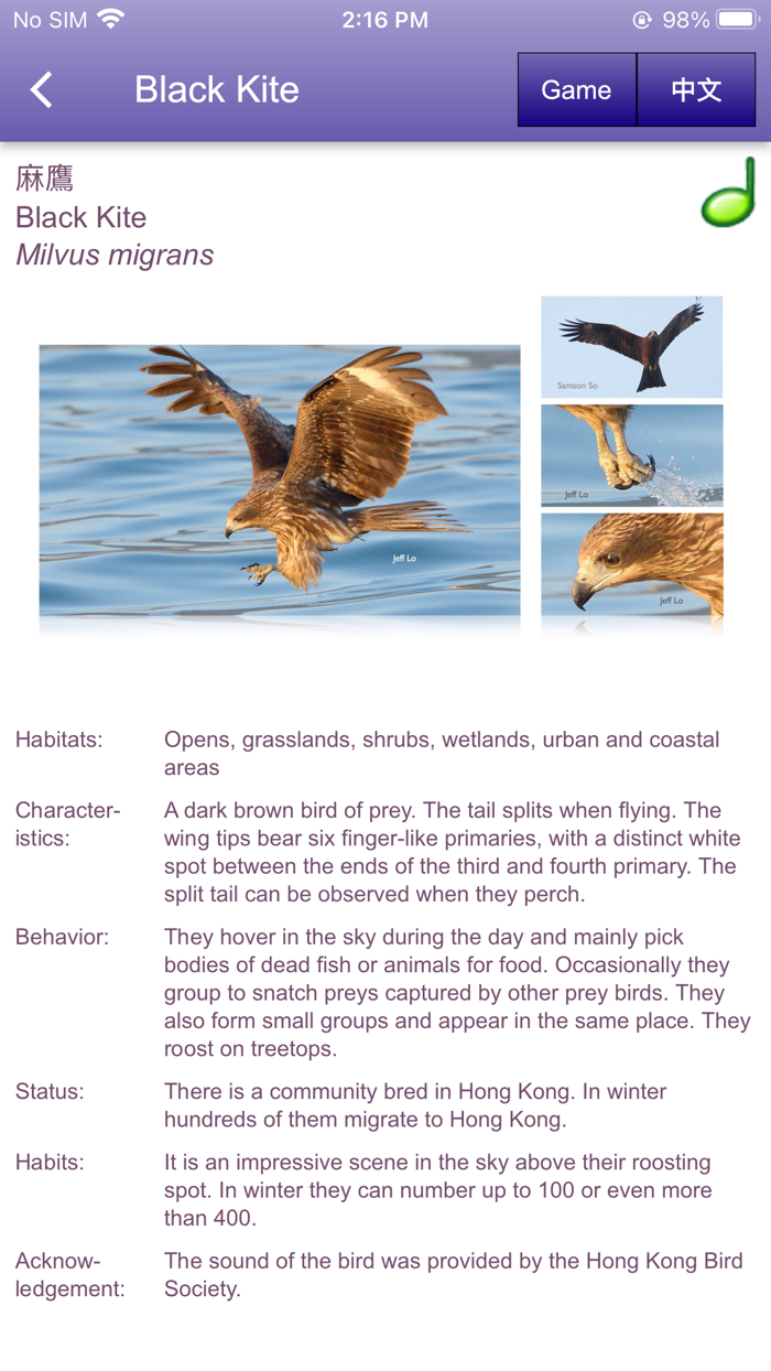 中大鳥  Birds of CUHK