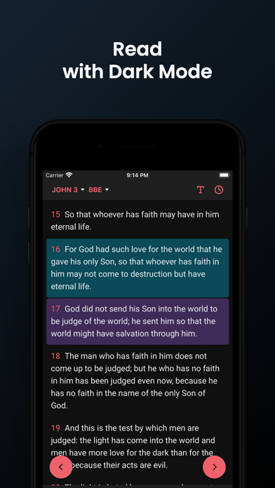 Testament Bible Screenshot