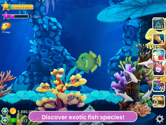 Splash Fish Sanctuary