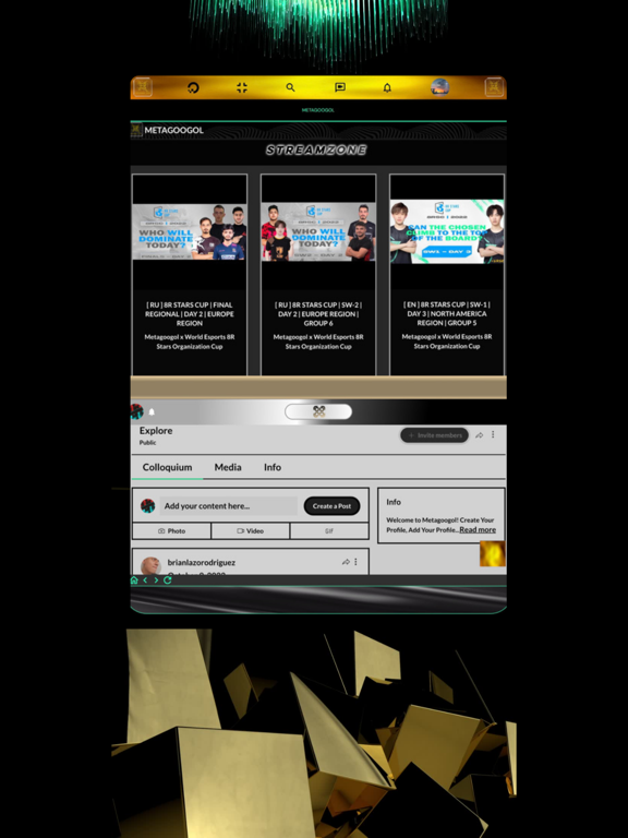 Metagoogol iPad screenshot 4 - Social Networking app
