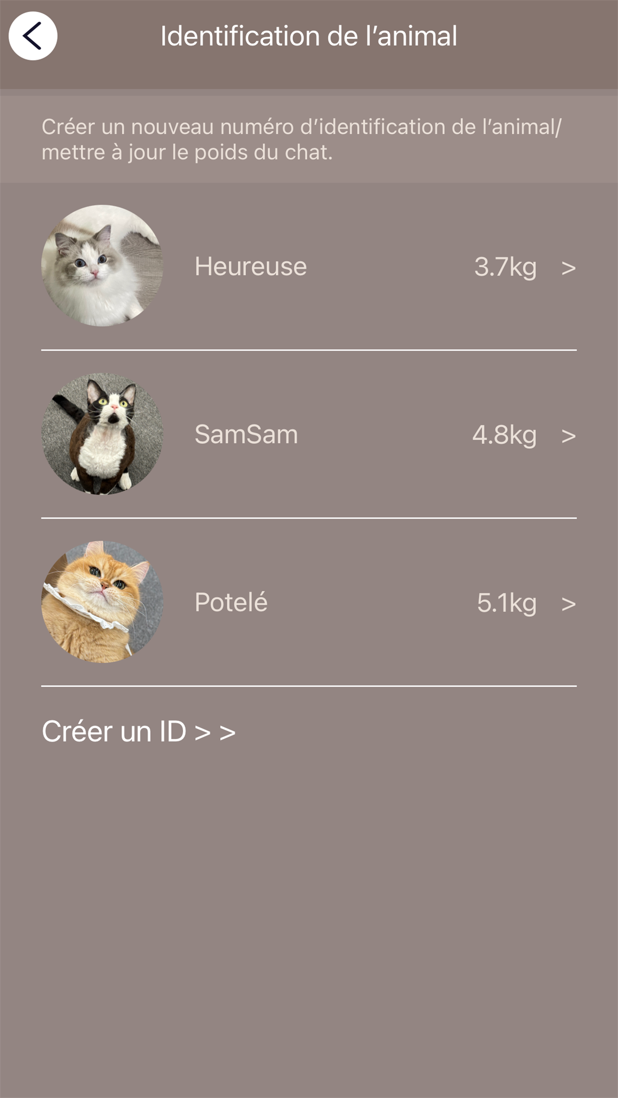 PetSnowy