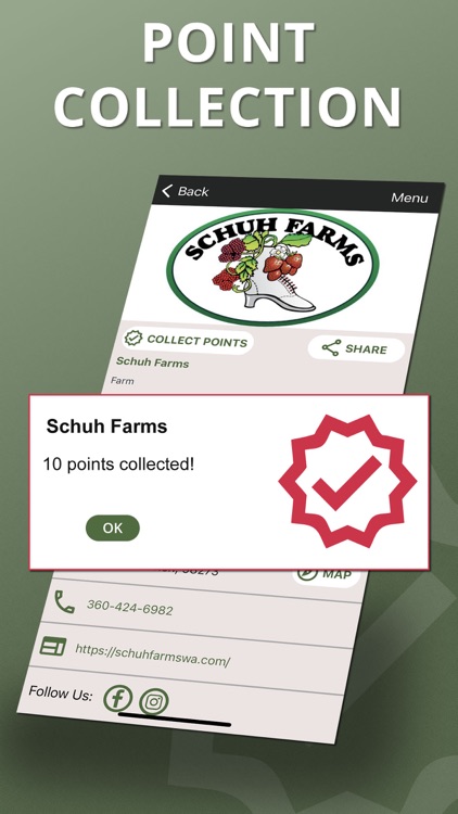 Tulip Valley screenshot-3