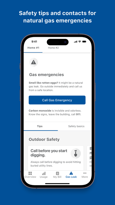 North Shore Gas Screenshot