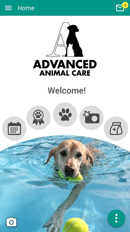 Advanced Animal Care