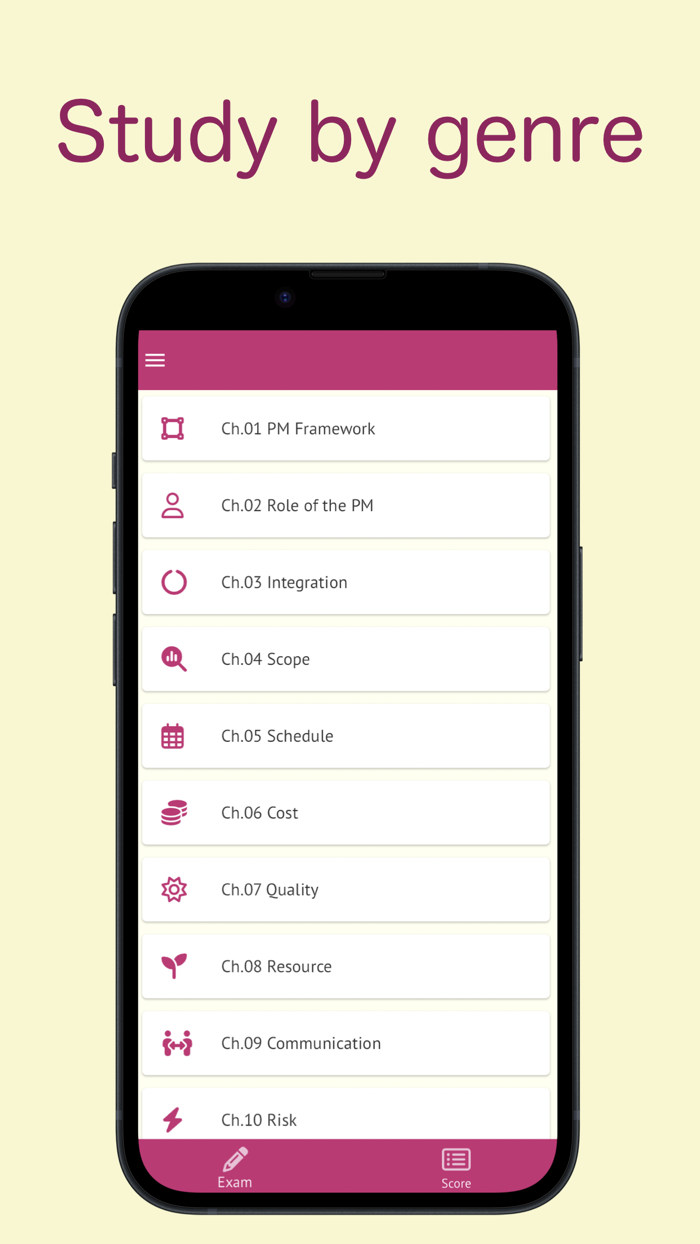 PMP Prep Exam Original