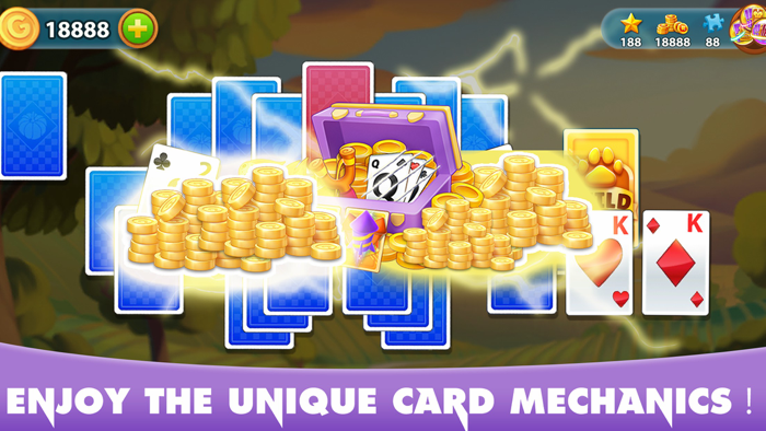 Solitaire  Poker Card Puzzle