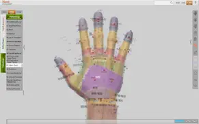 acupuncture point of hand iphone resimleri 2