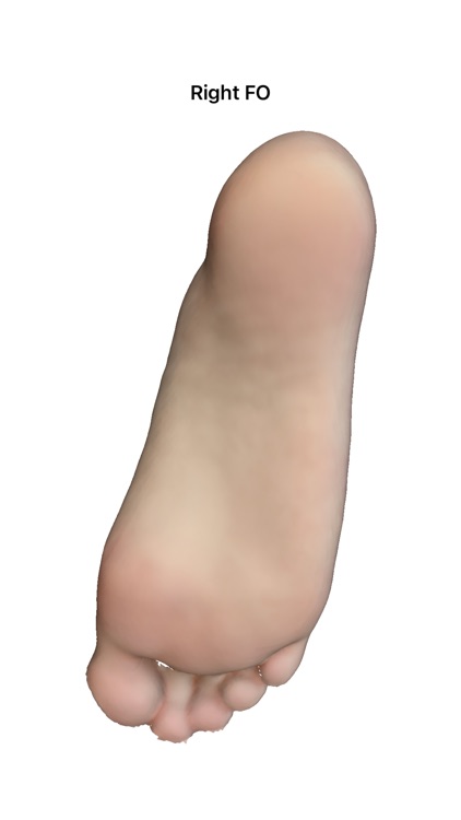 SnugFit O&P 3D Scanner