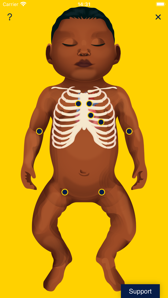 NIPE - textbook in a pocket™