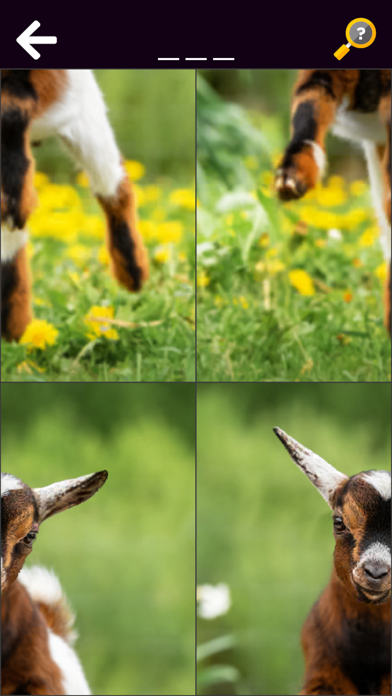 Screenshot #1 pour Animaux & Dinosaures Rigolos
